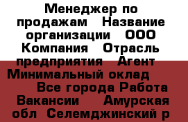 Менеджер по продажам › Название организации ­ ООО Компания › Отрасль предприятия ­ Агент › Минимальный оклад ­ 30 000 - Все города Работа » Вакансии   . Амурская обл.,Селемджинский р-н